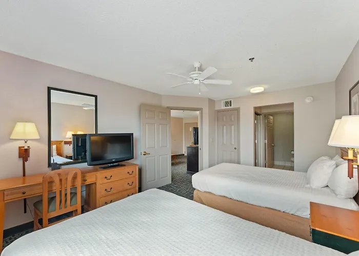 1 Bd 1 Ba Furnished 2 Beds Apartment