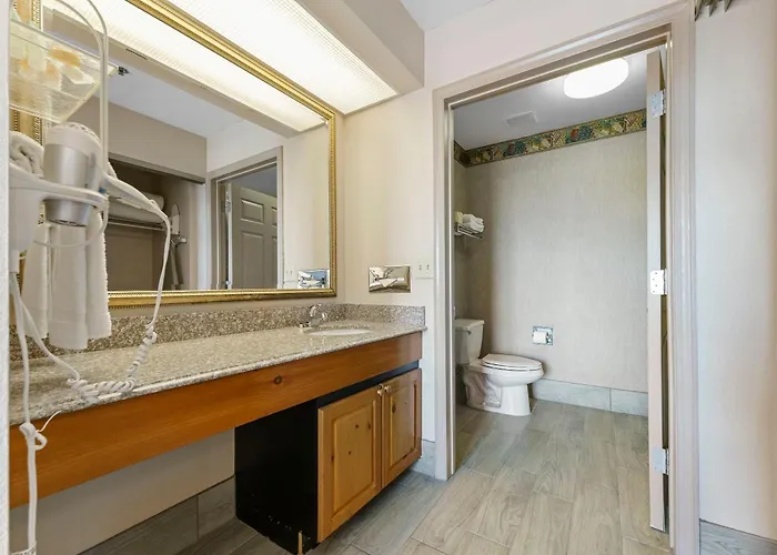 Apartment 1 Bd 1 Ba Furnished 2 Beds *