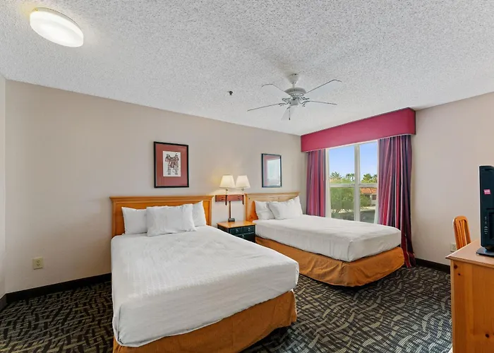 Apartment 1 Bd 1 Ba Furnished 2 Beds Scottsdale