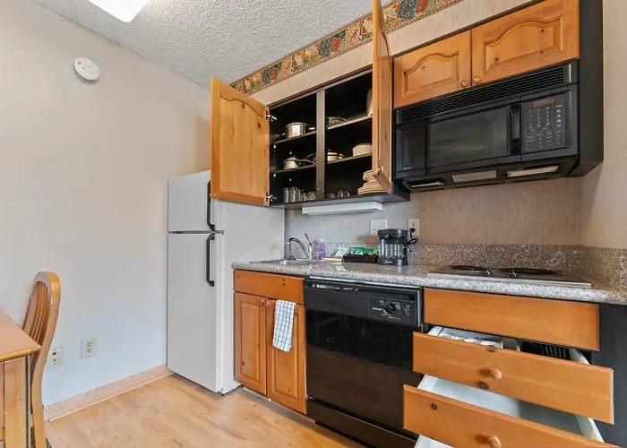 Apartment 1 Bd 1 Ba Furnished 2 Beds Scottsdale