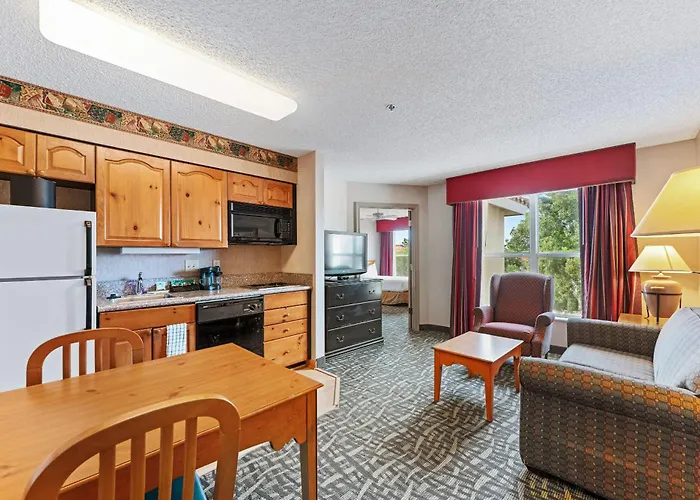 Apartment 1 Bd 1 Ba Furnished 2 Beds Scottsdale